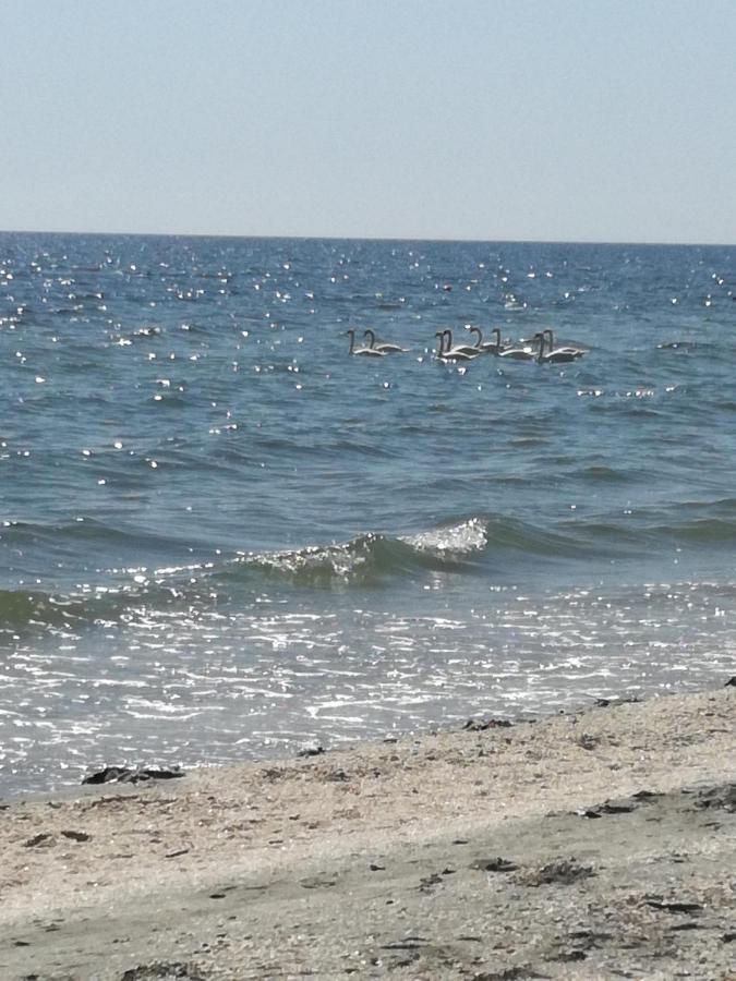 Summerland Mrs * Mamaia